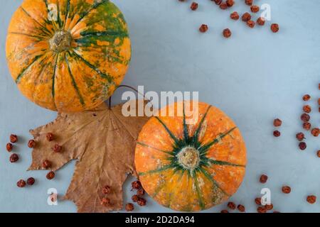 Reife Kürbisse und getrocknete Preiselbeeren auf grauem Hintergrund mit Ahornblatt. Stockfoto