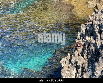 Felsiger Strand. Aquamarin Farbe des Meerwassers. Adriatisches Meer Hintergrund. Blaue Frische. Unterwasserwelt. Steine und Algen. Türkisfarbene Oberfläche der Marine Stockfoto