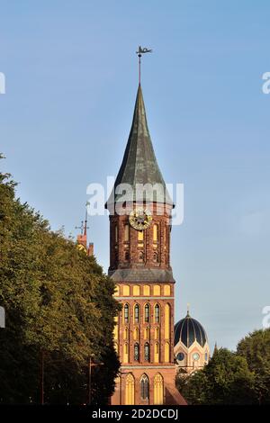 Kaliningrad, Russland - 30. september 2020: Turm des Königsberger Doms, gotischer Tempel aus dem 14. Jahrhundert. Symbol von Kaliningrad, bis 1946 Kenigsb Stockfoto