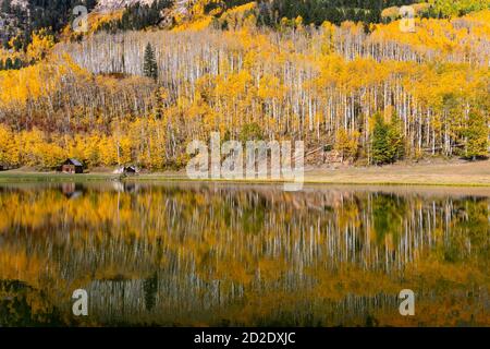 Bergsee mit Espenbäumen und malerischen Herbstlandschaften in der Nähe von Durango, Colorado Stockfoto