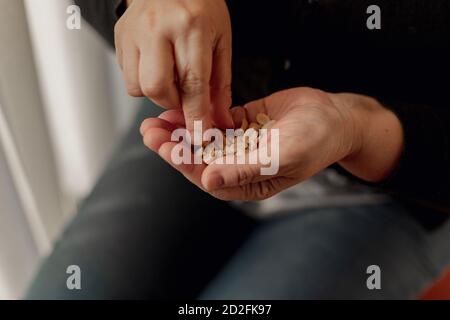 Detail der Hände einer erwachsenen Frau, die einen hält Haufen Erdnüsse und nehmen sie mit ihrer rechten Hand Stockfoto