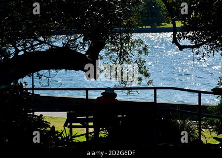 Ein schattiger Platz im Park Stockfoto