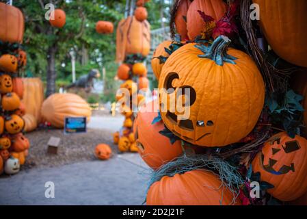 Stone Mountain Park Pumpkin Festival in der Nähe von Atlanta, Georgia. (USA) Stockfoto