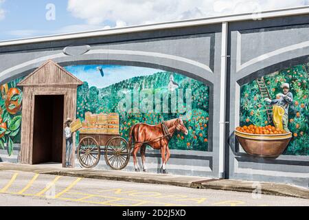 Florida, Highlands County, Lake Placid, kleine Stadt, Stadt der Wandmalereien, Attraktion, Zitruserbe, Kunstwerke öffentlicher Kunst, Besucher reisen zu Stockfoto