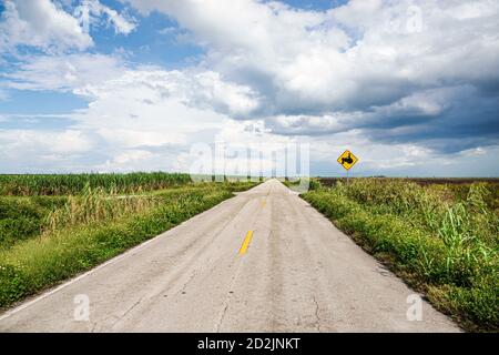 Florida, Moore Haven, ländliche Straße, Zuckerrohrfelder, Traktorübergangsschild, flacher Horizont, Besucher reisen Reise touristischer Tourismus Wahrzeichen Stockfoto