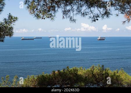 Nahaufnahme der Sommerlandschaft. Blaues Meer, Wolken über dem Horizont und Frachtschiffe, Blick durch die grünen Äste von Bäumen. Gelendschik. Russland Stockfoto