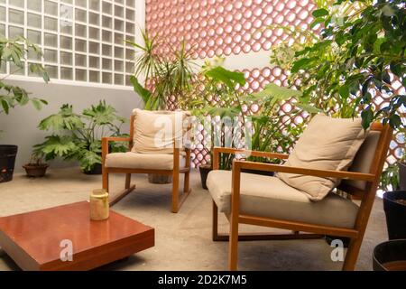 Solar. Indoor-Garten mit einer Vielzahl von Pflanzen und weißen Stoffstühlen mit Holzoberflächen. Innenarchitektur Stockfoto