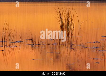 Mann Lake, Mann Lake Recreation Area, Burns District Bureau of Land Management, Oregon Stockfoto