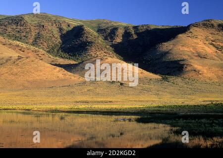 Mann Lake, Mann Lake Recreation Area, Burns District Bureau of Land Management, Oregon Stockfoto