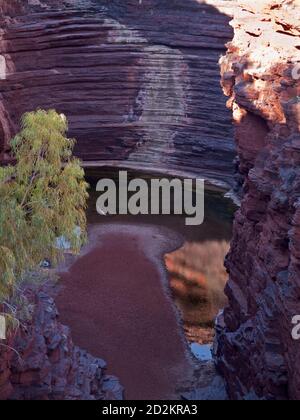 Joffre Gorge und (trockene) Wasserfälle, Karijini National Park, Western Australia Stockfoto