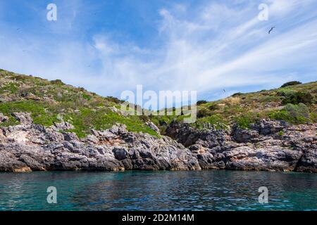 Blick auf die Felsküste der Insel Giannutri (Grosseto, Toskana, Italien). Stockfoto