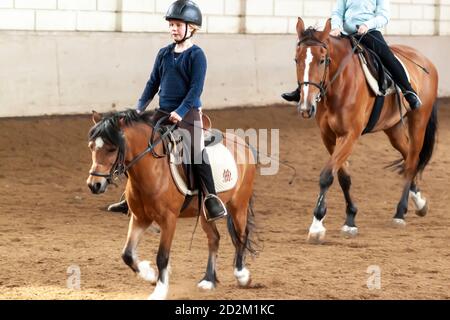 Amsterdam, Netherlands 05/15/2010: Ein hübsches blondes Mädchen im Reitoutfit lernt, ein Pferd zu reiten. Sie reitet langsam ein braunes Fohlen in einem Zug Stockfoto