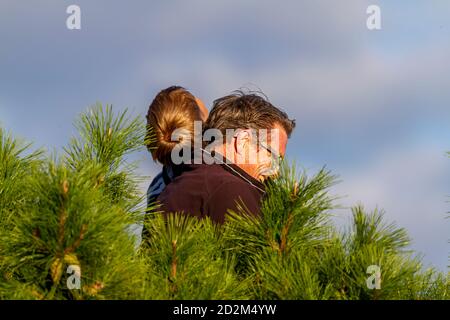 Washington DC, USA 10/02/2020: Ein kaukasischer Vater und sein Sohn sind auf eine Kiefer geklettert, um zu sehen, wie die Flugzeuge vom nahe gelegenen Flughafen starten. Vater ist Stockfoto