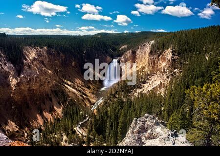 Lower Falls des Yellowstone River und Grand Canyon, Yellowstone National Park, Wyoming, USA Stockfoto