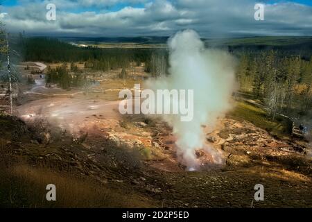 Dampfende Geysire, Norris Geyser Basin, Yellowstone National Park, Wyoming, USA Stockfoto