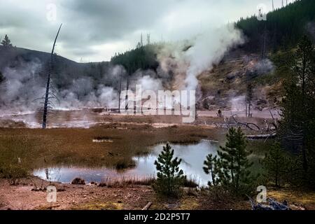 Dampfende Geysire, Norris Geyser Basin, Yellowstone National Park, Wyoming, USA Stockfoto