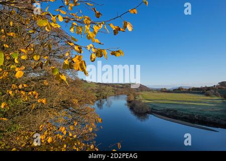 Crook O' Lune Lancaster Lancashire Großbritannien Stockfoto
