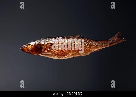 Gesmokter Hering auf schwarzem Hintergrund. Traditionelle Küche in den baltischen Landkreisen. Stockfoto