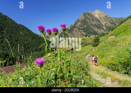 Granjas de biadós, Valle de Añes Cruces, parque natural Posets-Maladeta, Huesca, cordillera de los Pirineos, Spanien Stockfoto