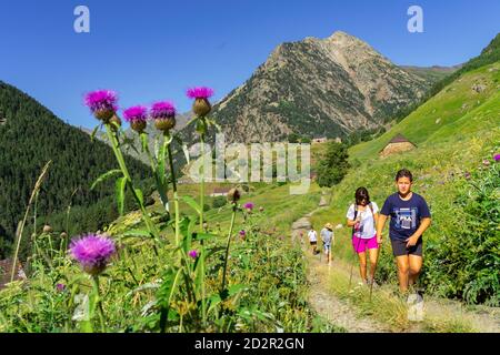 Granjas de biadós, Valle de Añes Cruces, parque natural Posets-Maladeta, Huesca, cordillera de los Pirineos, Spanien Stockfoto