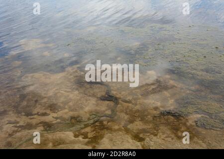 Müll und Schlamm im Fluss aus der Nähe. Ökologisches Konzept, Verschmutzung von Gewässern, biologische Gefahr. Trübes Wasser, weicher Fokus. Stockfoto