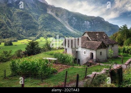 Ballenberg, Brienz, Bern, Schweiz, Europa Stockfoto