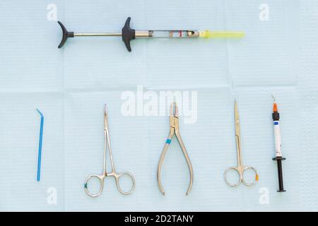 Set aus verschiedenen Zahnarztwerkzeugen auf blauer medizinischer Serviette platziert In der Klinik Stockfoto