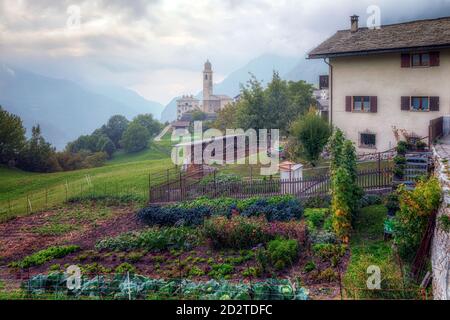 Soglio, Majola, Graubünden, Schweiz, Europa Stockfoto