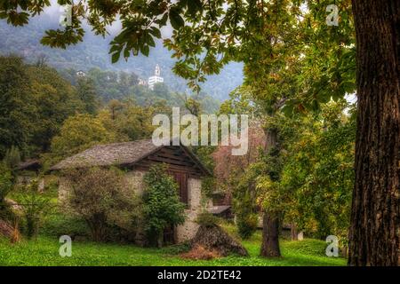 Soglio, Majola, Graubünden, Schweiz, Europa Stockfoto