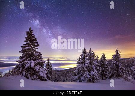 Glühende Nordlichter und Milchstraße im Nachthimmel über Bergiges Gelände mit Nadelbäumen, die im Winter mit Schnee bedeckt sind Stockfoto
