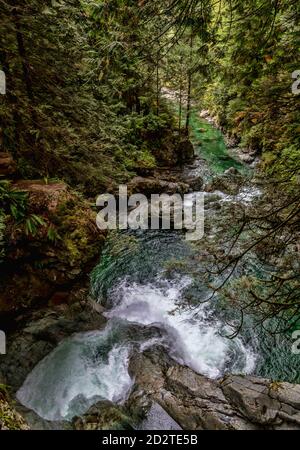 Malerische Landschaft von schnellen schmalen Bach mit Wasserfall fließt hinunter Felsiger Berghang mit grünem Wald Stockfoto