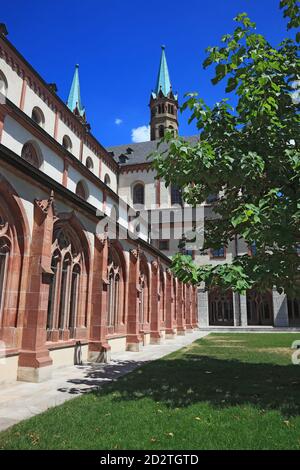 Kreuzgang St. Kilians-Dom zu Würzburg oder Dom St. Kilian, Würzburg, Würzburg, Unterfranken, Bayern, Deutschland Stockfoto