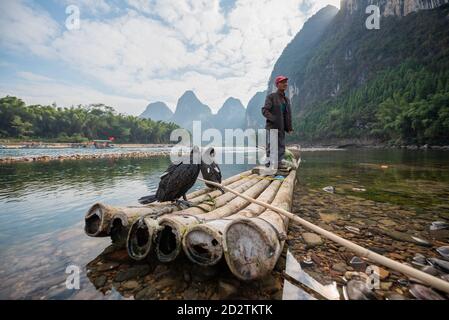 Yangshuo, Guilin, Provinz Guangxi, China - 12. November 2019: Kormoran-Fischer auf seinem Bambusfloß auf dem Fluss Li. Stockfoto