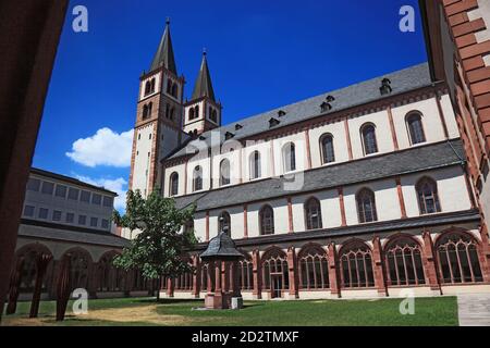 Kreuzgang St. Kilians-Dom zu Würzburg oder Dom St. Kilian, Würzburg, Würzburg, Unterfranken, Bayern, Deutschland Stockfoto