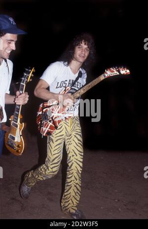 Eddie van Halen, niederländisch-amerikanischer Gitarrist und Gründer der Heavy-Band Van Halen beim Donnington Monsters of Rock Festival 1984. Stockfoto