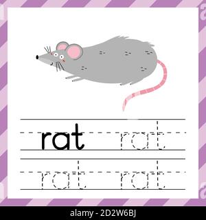Ablaufverfolgungsarbeitsblatt mit dem Wort Ratte. Lernmaterial für Kinder Stock Vektor