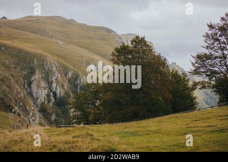 Blick auf felsige Berge in Vlasic, Bosnien an einem düsteren Tag Stockfoto