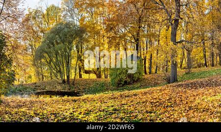 Bolotov Park, Region Tula. Alles ist mit gelben Blättern, Straßen und Rasenflächen übersät. Stockfoto