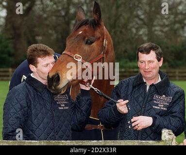 Martell Grand National Gewinner Rough Quest erhält einen Kuss von Jockey Mick Fitzgerald, in Terry Casey (Trainer, rechts) Stables in Dorking. * 31/03/96 von Grand National Gewinner Rough Quest mit Jockey Mick Fitzgerald (L) und Trainer Terry Casey. Grand National-Gewinner-Trainer Terry Casey ist am Ende des Alters von 56 Jahren nach einer langen Krankheit gestorben, hieß es. Casey, der seinen schönsten Moment genoss, als Rough Quest 1996 bei Aintree triumphierte, hatte seit einiger Zeit gegen Krebs gekämpft. Stockfoto