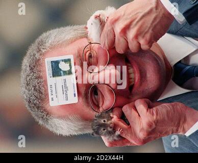 Neil Scott aus den West Midlands reist mit den Hamstern 'Card' (links) und 'Travel', die in einem Bus Nr. 11 im Acocks Green Depot verlassen gefunden wurden. Stockfoto