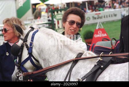 Die Prinzessin Royal (Prinzessin Anne, die Tochter von Königin Elizabeth II), die heute (Samstag) an den British Horse Trial Championships im Gatcombe Park teilnahm. PA-Fotos Stockfoto