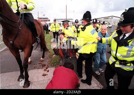 Die Polizei versucht heute Morgen (Montag), Demonstranten von der Vorderseite der Hauptgebäude der Mersey Docks and Harbour Company in Seaforth, Merseyside, zu räumen. Insgesamt 329 Hafenarbeiter wurden von der Firma ausgesperrt, nachdem sie sich geweigert hatten, eine inoffizielle Streiklinie zu überqueren, die von 80 Kollegen montiert wurde, die vor einem Jahr von einer anderen Stauungsfirma entlassen wurden. Foto von John Giles/PA. SIEHE PA STORY INDISTRY DOCKS. Stockfoto