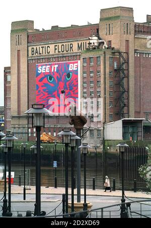 ** EMBARGO: FÜR DEN ERSTEN EINSATZ 0001 HRS MONTAG 18. NOVEMBER 1996.** die Baltic Flower Mills, in Newcastle, die im Zentrum einer geplanten 100m Kunstentwicklung sein wird heute (Sonntag) durch Gateshead Rat enthüllt. Siehe PA Geschichte ARTS Mill. Foto von Owen Humphreys/PA Stockfoto