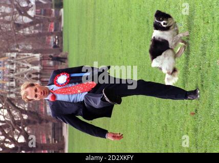 Der Gewinner des Westminster Dog of the Year Competition, vom A Border Collie Cross, beobachtet den Besitzer Phillip Oppenheim (Con, Amber Valley), der heute in London (Weds) einen Ball tritt. Der Wettbewerb, der von der National Canine Defense League und Wuffitmix Complete Dog Foods organisiert wurde, wurde gegründet, um verantwortungsvollen Hundebesitz in ganz Großbritannien zu fördern. Foto von Fiona Hanson. Stockfoto