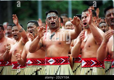 Maori-Krieger und Tänzer der neuseeländischen Armee, die zur Gruppe Te Hokowhitu A Tumatauenga (Speerspitze des Kriegsgottes) gehört, inszenieren heute (Montag) den traditionellen Haka beim Königlichen Turnier 1997 am Londoner Earls Court. Foto von David Kepskin. Stockfoto