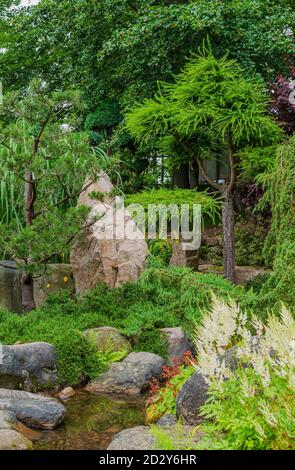 Japanischer Blick auf den Garten mit geformten Nadelbäumen, Steinen und Teich im Sommer. Polen, Shklarska poreba. Selektiver Fokus. Stockfoto