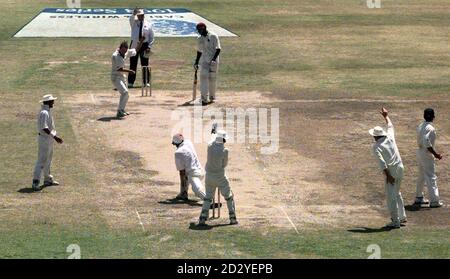 Englands Phil Tufnell feiert heute (Samstag) die Entlassung des westindischen Batsman Jimmy Adams, lbw für 28 Läufe, während des 4. Tests zwischen Westindien und England im Bourda Oval, Georgetown, Guyana. Bild von Rebecca Naden/PA/*EDI* Stockfoto