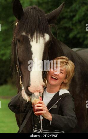 PA NEWS PHOTO 6/98 FERNSEHMODERATORIN ANTHEA TURNER GIBT EINEM SHIRE-PFERD EIN PINT LONDONER STOLZ ZUM START DES VON HAMMERKREBS GESPONSERTEN SIX MILE WALK IN LONDON. DIE VON LONDON PRIDE GESPONSERTE WOHLTÄTIGKEITSORGANISATION SAMMELT GELD FÜR DIE KREBSFORSCHUNG Stockfoto