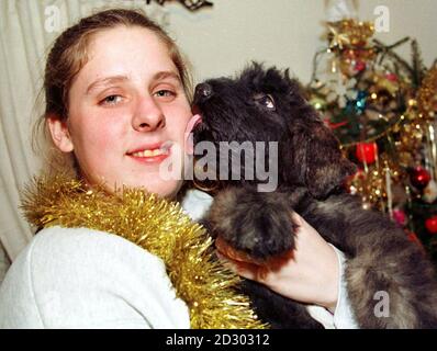 Welpenliebe für Shilo Ediger, 21 Jahre, der aus Oklahoma, USA, geflogen ist, um einen Welpe von Merseyside Hundespezialist Mike Oliver zu wählen. Sie ist mit dem Welpen, mit dem sie heimkehrt, 'Oonagh', einem Bouvier des Flandres, abgebildet. Pic Dave Kendall. Stockfoto