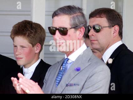 Der Prinz von Wales mit seinem jüngsten Sohn Prinz Harry und der Herzog von York (R), im Guards Polo Club im Windsor Great Park, wo Harry, der ältere Bruder Prinz William und andere Eton College-Studenten Tee mit Mitgliedern der königlichen Familie hatten. Stockfoto